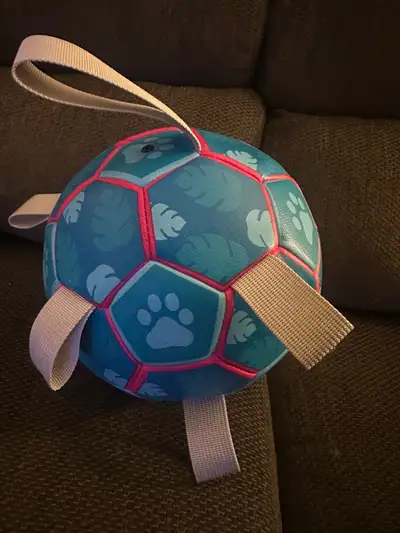 Dog Soccer Ball & Pump., View more