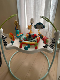 Fisher-Price Jumperoo Baby Activity Center 