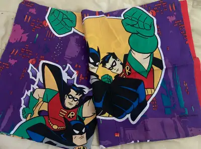 Pair Mint 1995 Batman & Robin pillow cases, View more
