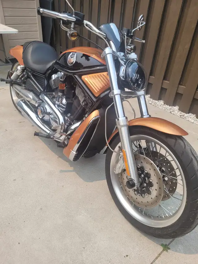 2008 Harley Davidson Anniversary V-ROD in Street, Cruisers & Choppers in Oshawa / Durham Region - Image 4