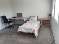 Room available for a female student