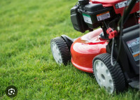 Grass cutting/Lawn Mowing Starting $19 Same Day NO CONTRACT