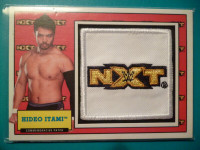 WWE NXT Patch Topps Relic Cards 2017 - Hideo Itami Eric Young