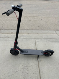 M365 Scooter 