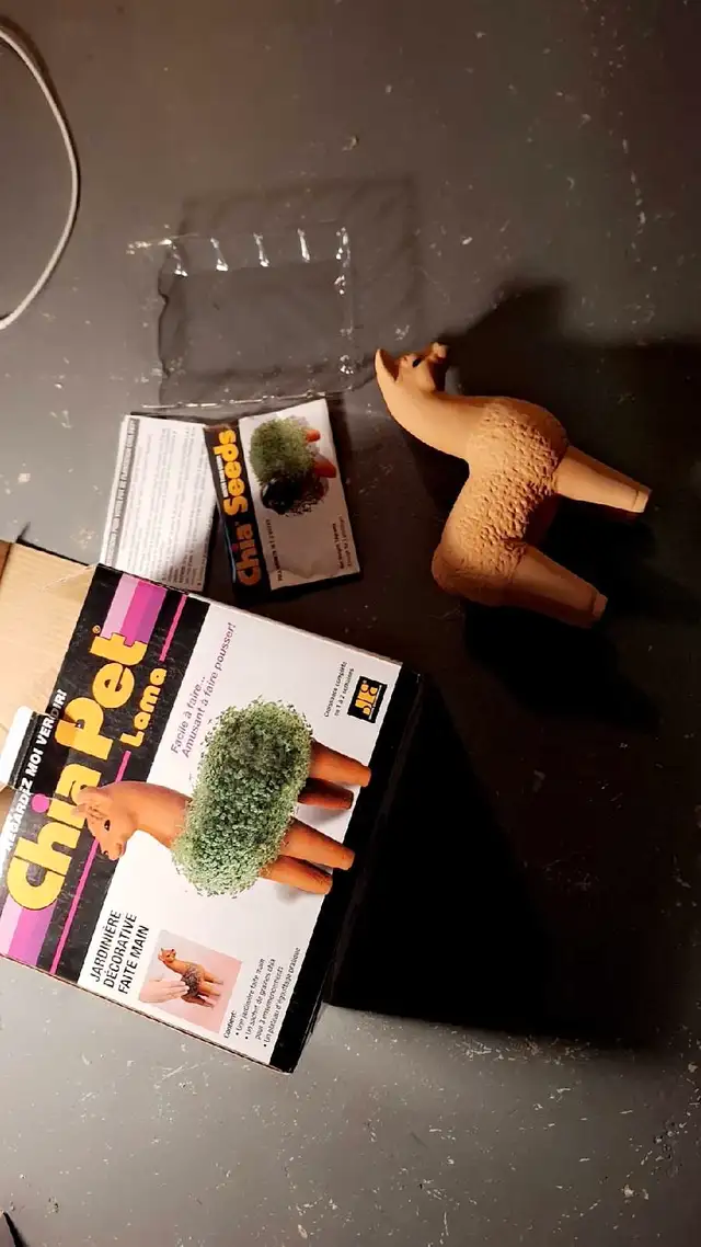 Chia Pet Llama63005666522627121