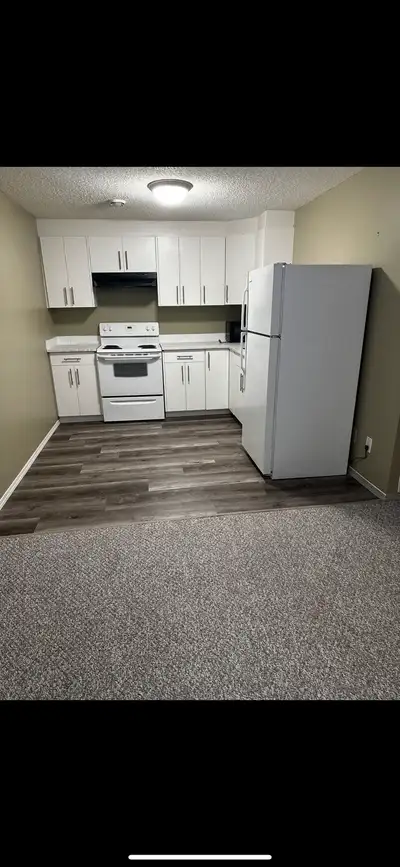 Basement Suite