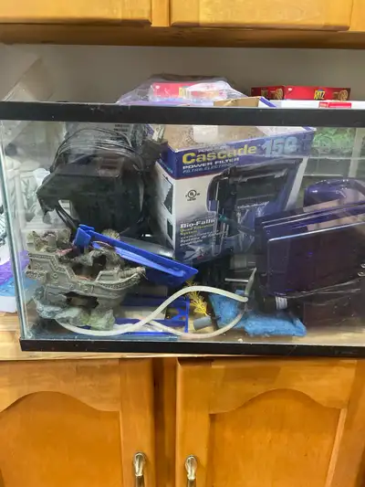 10 gallon tank plus pump and extras, View more