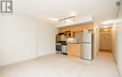 Furnished Optional 1 bed+bath apartment SFU campus pet friendly