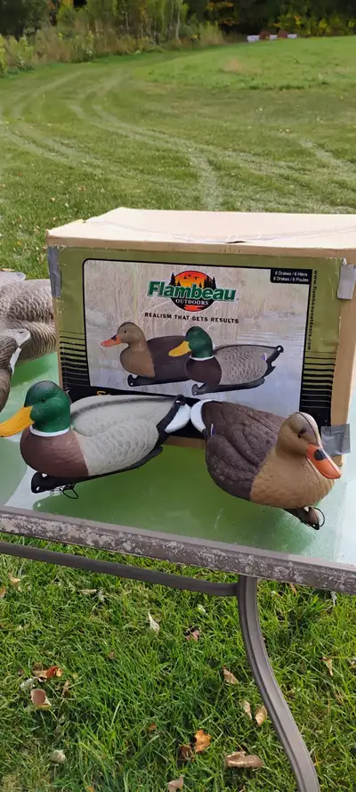 NEW Canada geese and mallard floater decoys, View more