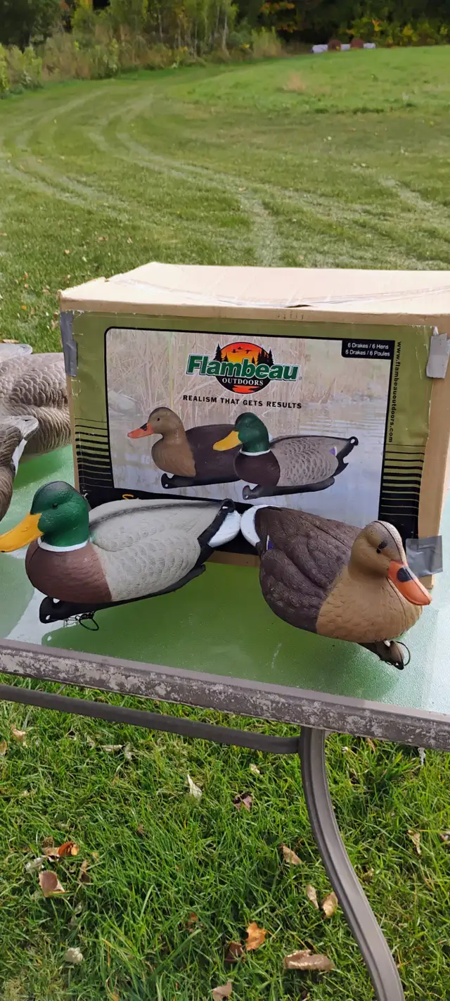 NEW Canada geese and mallard floater decoys in Fishing, Camping & Outdoors in Ottawa - Image 2