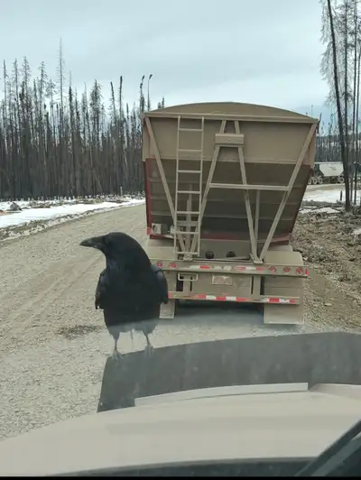 cash job wanted, View more