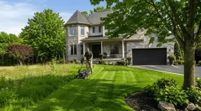 Property Maintenance, View more