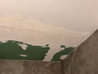 painter & plaster, View more