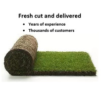 Summer SOD SALE- Free Delivery-Held Over