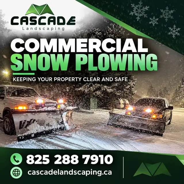Commercial Snow Service586457745248768002
