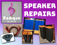Radique Speaker Repair Services