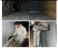 Carpet cleaning / Duct cleaning / Furnace clean 64.7560.79.36