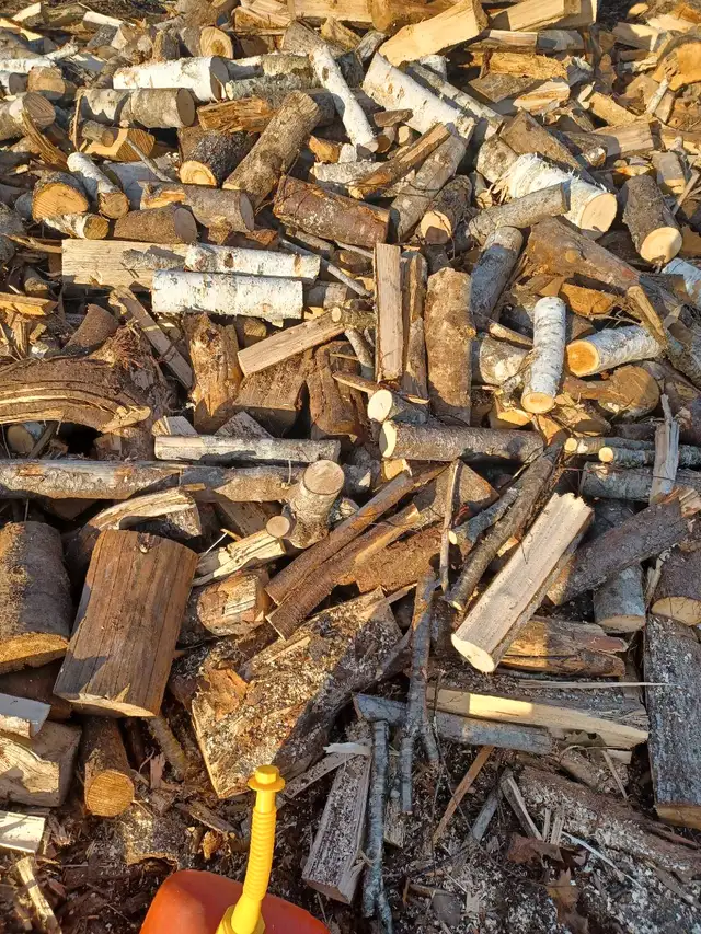 hardwood firewood in Fireplace & Firewood in Bridgewater - Image 2