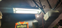 Garage/Outdoor Induction Lighting
