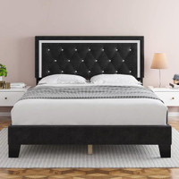 Velvet tufted designer bed - lowest price