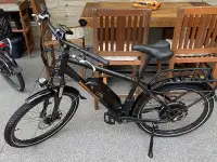 RadRover E-bike 
