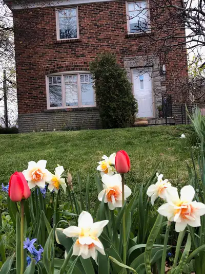 Detached,quiet house to share  Smythe Park- St. Clair/Scarlet