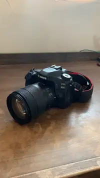 Canon 80d, 18-135mm lens, rotatable screen