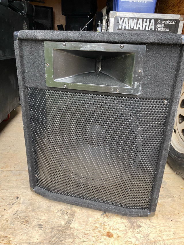 Yorkville Elite   Maxim 401 15” passive speakers in Pro Audio & Recording Equipment in Oshawa / Durham Region