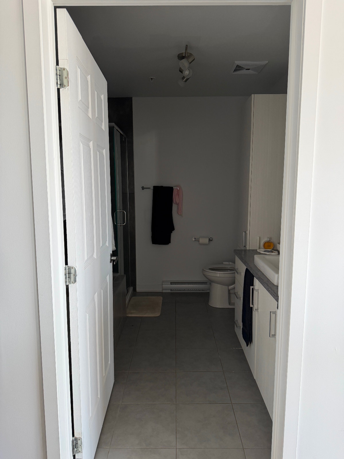 281 Place Claude-Dagenais — photo 3