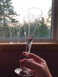 Champagne flutes! Other glasses too! (Mumford Rd or Bayers Lake)