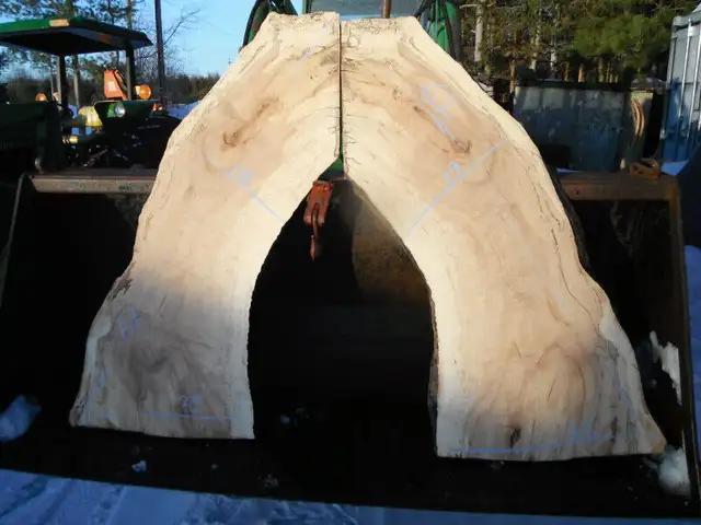 Live edge slabs in Hobbies & Crafts in Ottawa - Image 5
