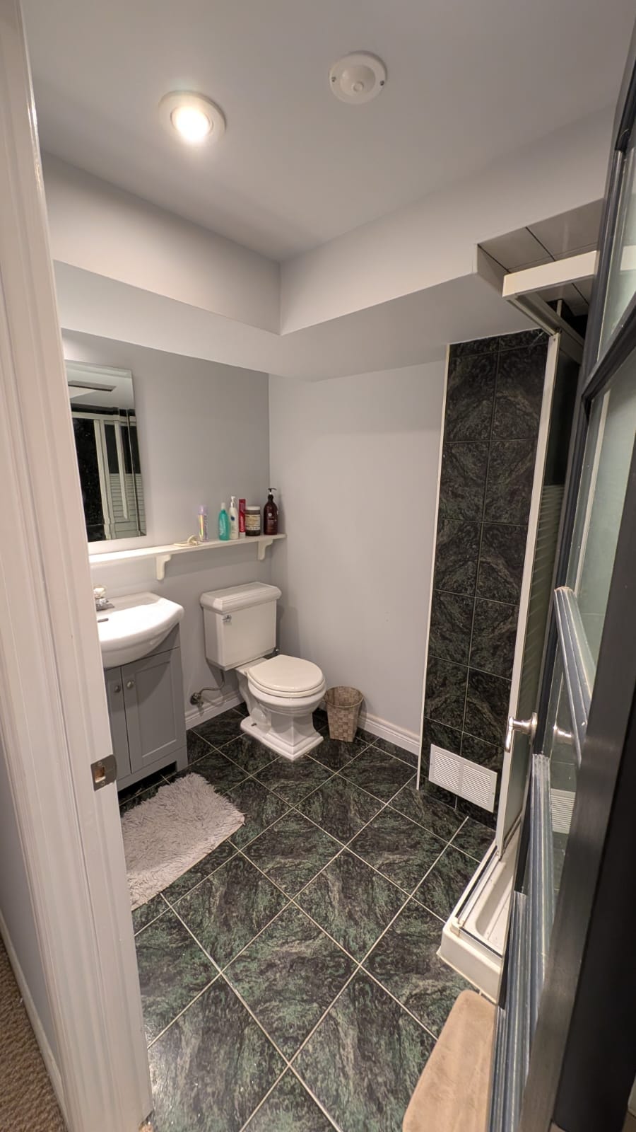 1300 Sq Ft 1 Bedroom Basement Apartment in  Royal Orchard 4