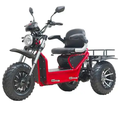 The Tectus Scope (Demo Unit Sale) - All-Terrain Mobility Scooter, View more