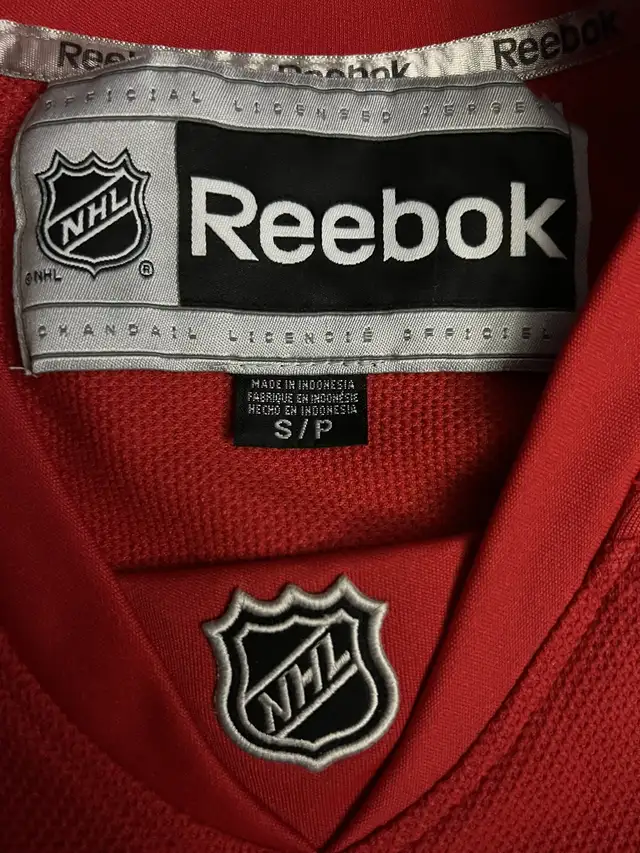 Reebok Premier Alex Delvecchio Detroit Red Wings Hockey Jersey  in Arts & Collectibles in City of Toronto - Image 4