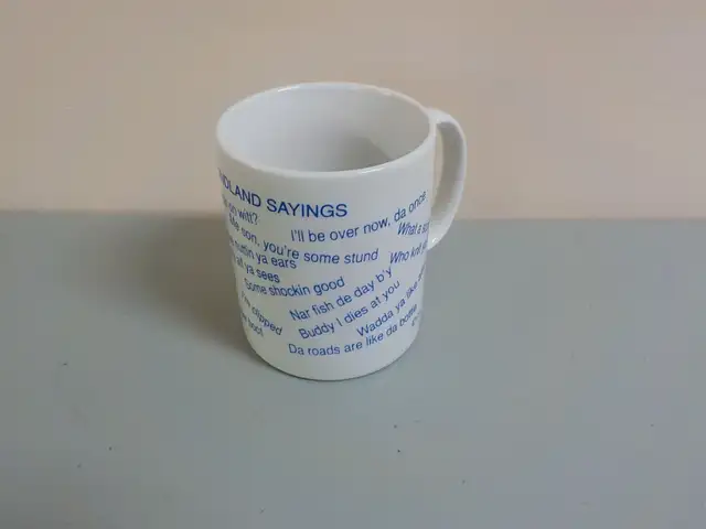 Newfoundland Sayings Mug in Arts & Collectibles in Fredericton - Image 2