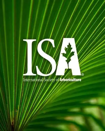 Tree Care That Towers Above the Rest., View more