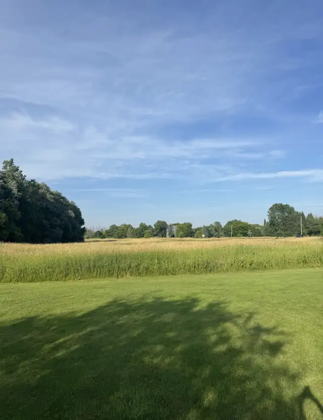 bush Hogging64026033893891120