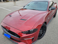2019 Mustang GT Premium Fastback with PP1