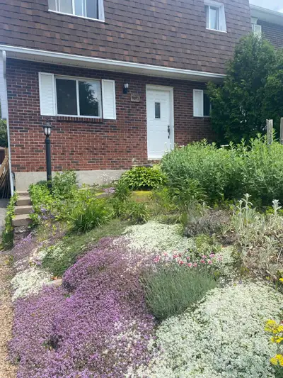 3 BEDROOM HOUSE WITH INGROUND POOL