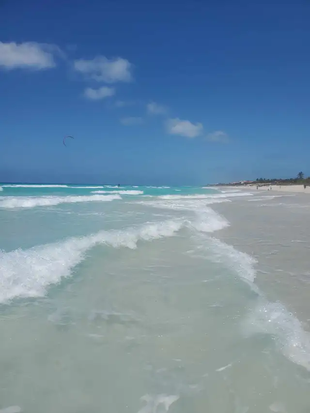 Looking for a friend!64744837433985120