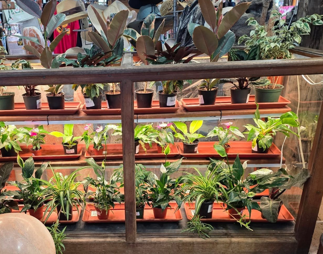 Looking for Creator Space/ Maker space members.65723763477762122