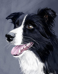 Dog/Pet Portrait from Photo