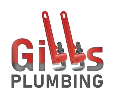 Reliable Licensed Plumber - 20 Years Experience, View more