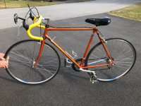 Vélo Marinoni vintage 1984