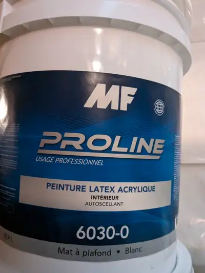 Plusieur 5 galons de mat à plafond blanc neuf 60$