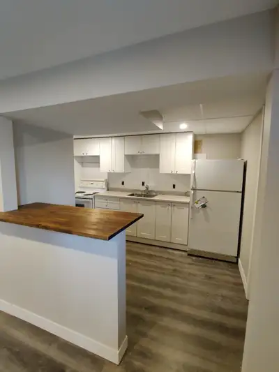 Large one bedroom basement suite, fully renovated. Ceilings insulated for additional noise barrier....