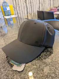 Tentree Eclipse Hat