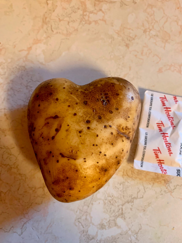 Very, Very Rare Heart Shaped Potato for sale in Hobbies & Crafts in Norfolk County - Image 2