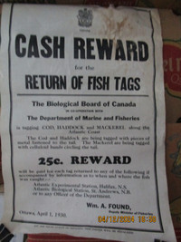 Poster    Reward    for Fish Tags    1930  roughly 11 by 16 inch