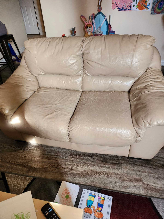 CHEAP COMFY LOVE SEAT! in Couches & Futons in Edmonton